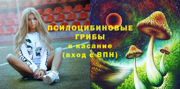 винт Бородино