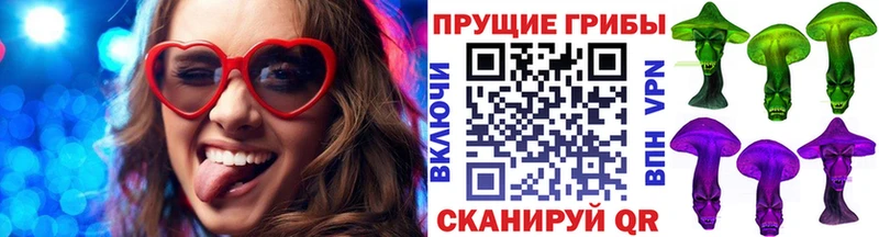 купить  сайты  Дальнегорск  Псилоцибиновые грибы MAGIC MUSHROOMS 